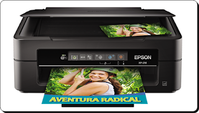 Epson xp 400 download for windows 10